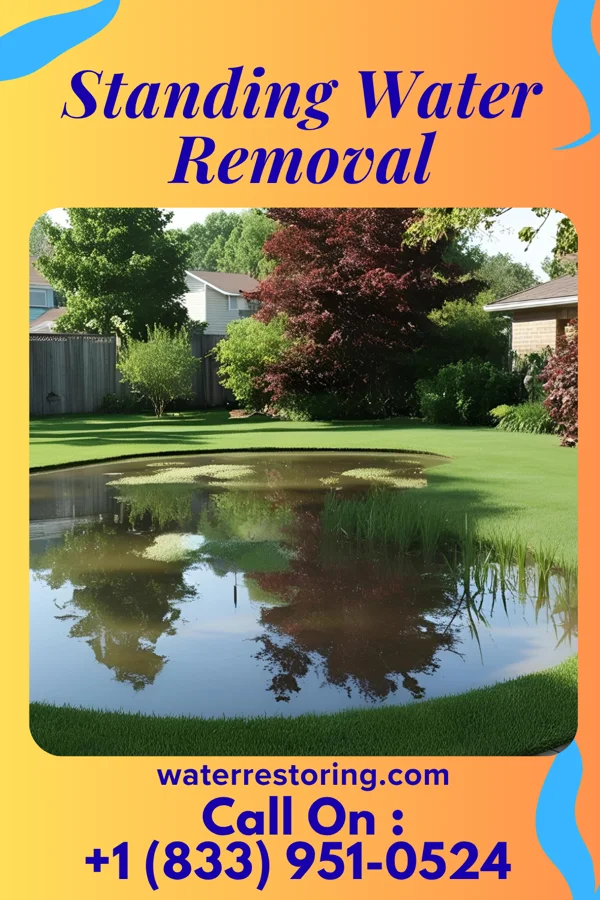 Standing Water Removal in Brentford, SD